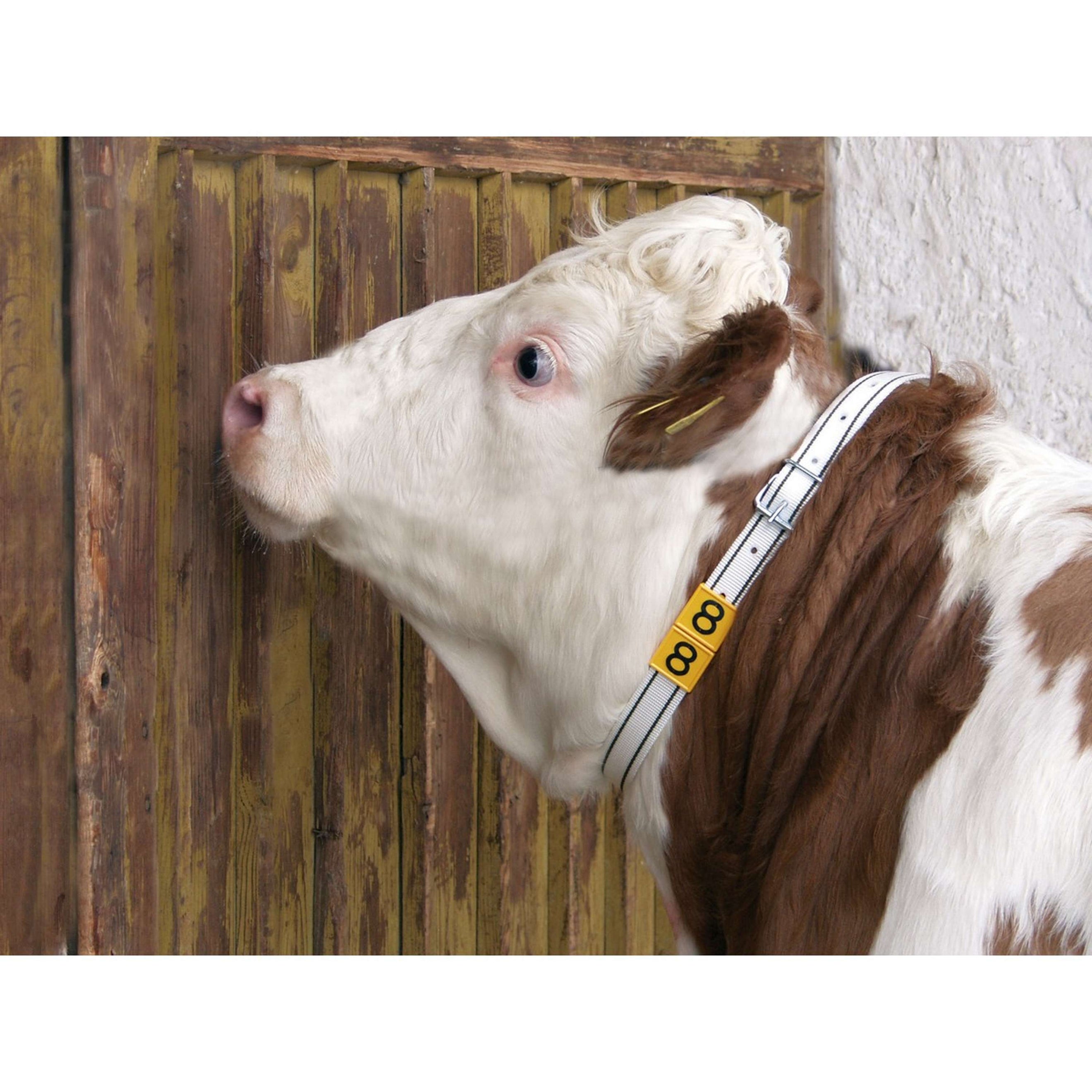 Kerbl Banda di Marcatura per Collo Bianco Kerbl Banda di Marcatura per Collo Bianco