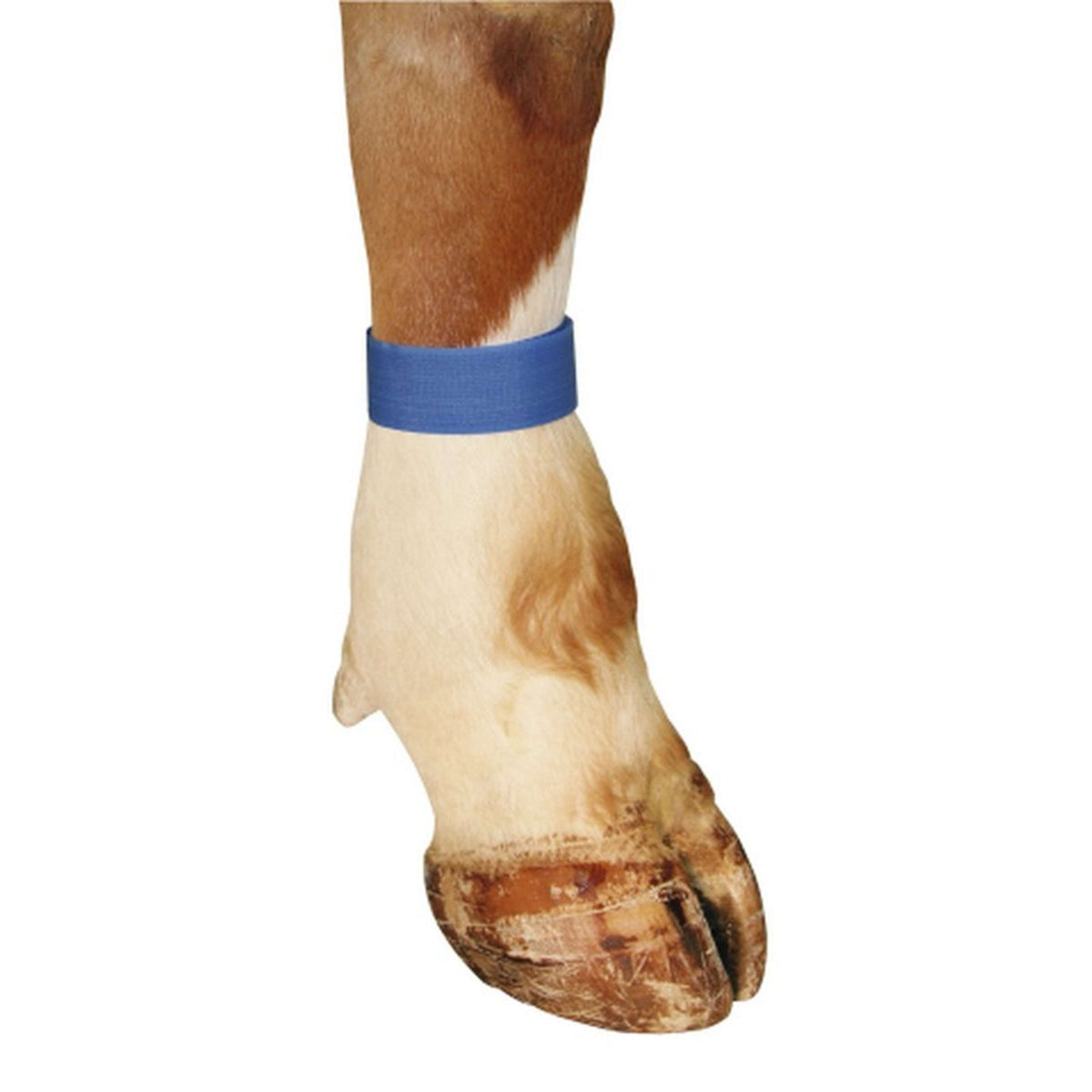 Nastro di marcatura Kerbl Blu