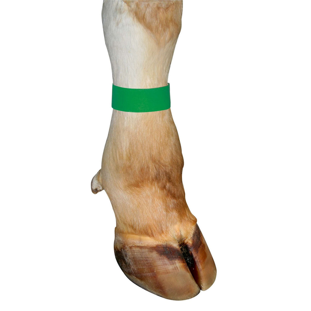 Nastro di marcatura Kerbl Verde