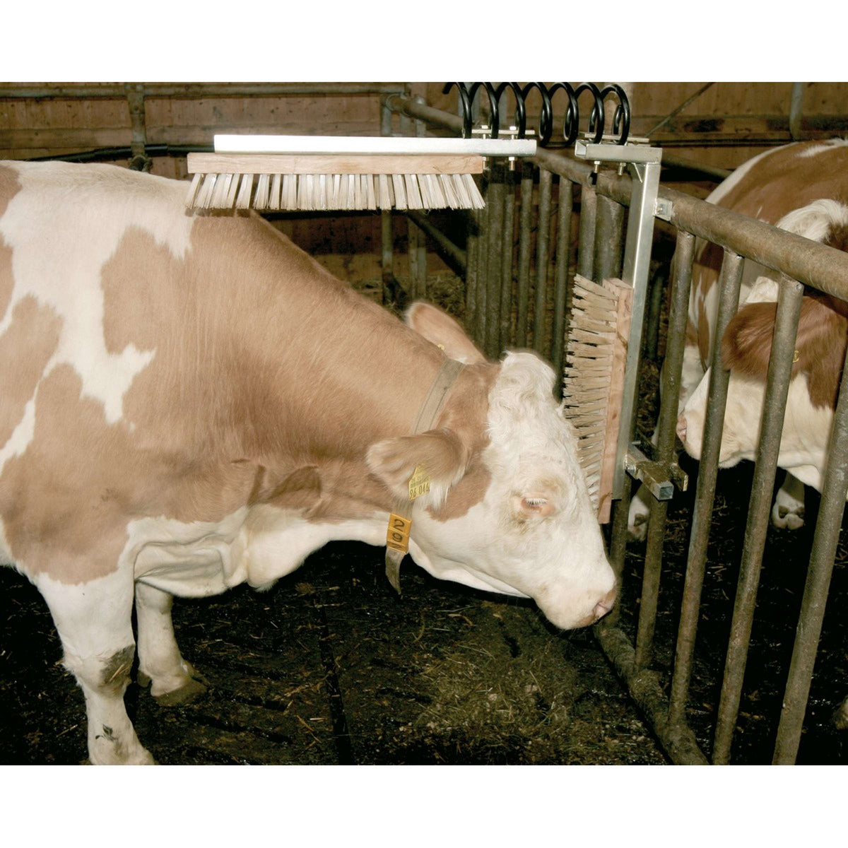 Kerbl Spazzola per Bovini Texas