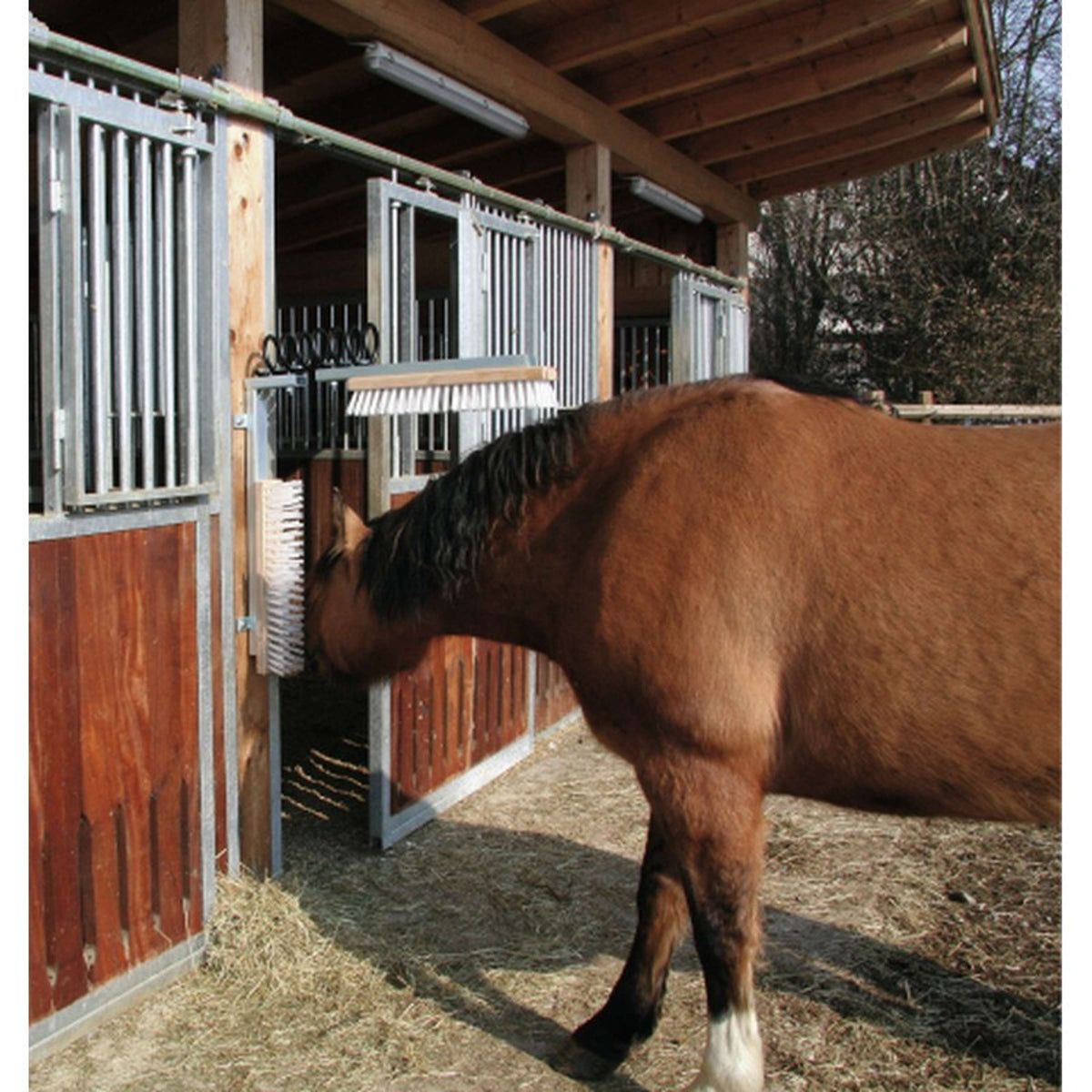 Kerbl Spazzola per Bovini Texas