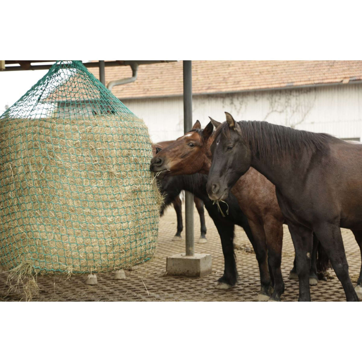 Kerbl Rete da Fieno riattaccare