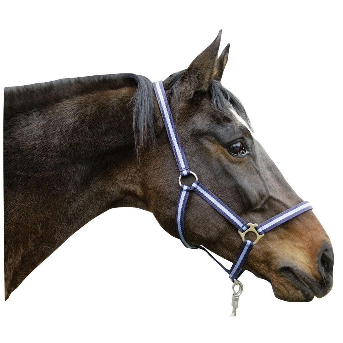 Covalliero Capezzina Hippo Blu marino/azzurro
