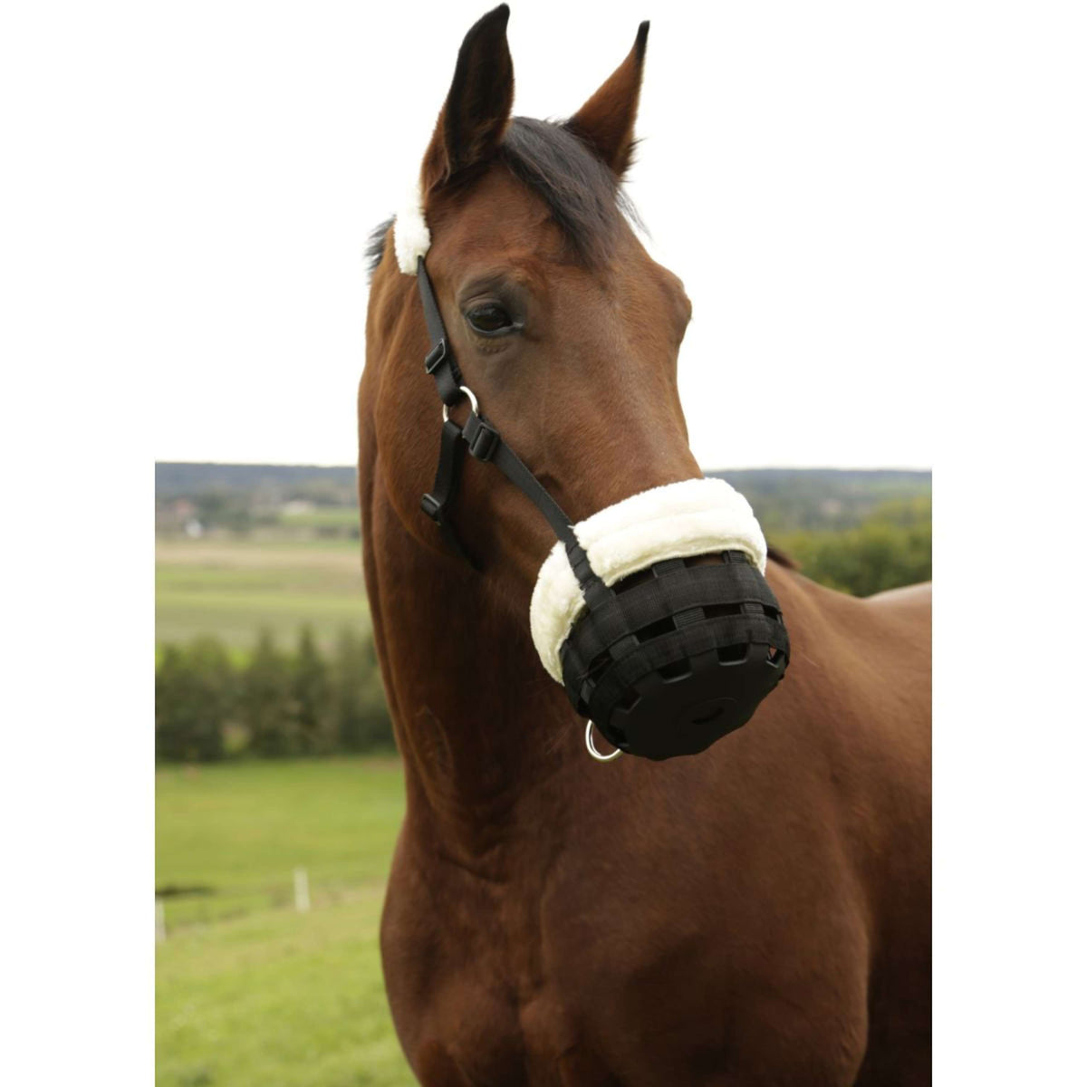 Kerbl Museruola Teddy Fleece Nero