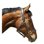 Covalliero Capezzina Nero