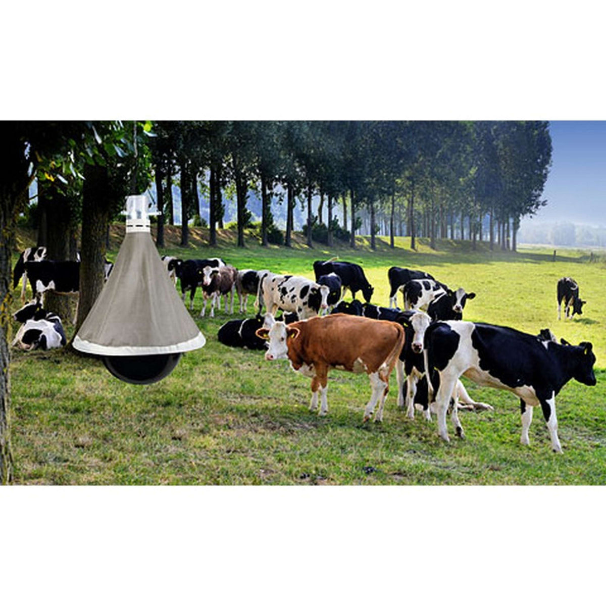 Kerbl Trappola per Tafani TaonX Eco