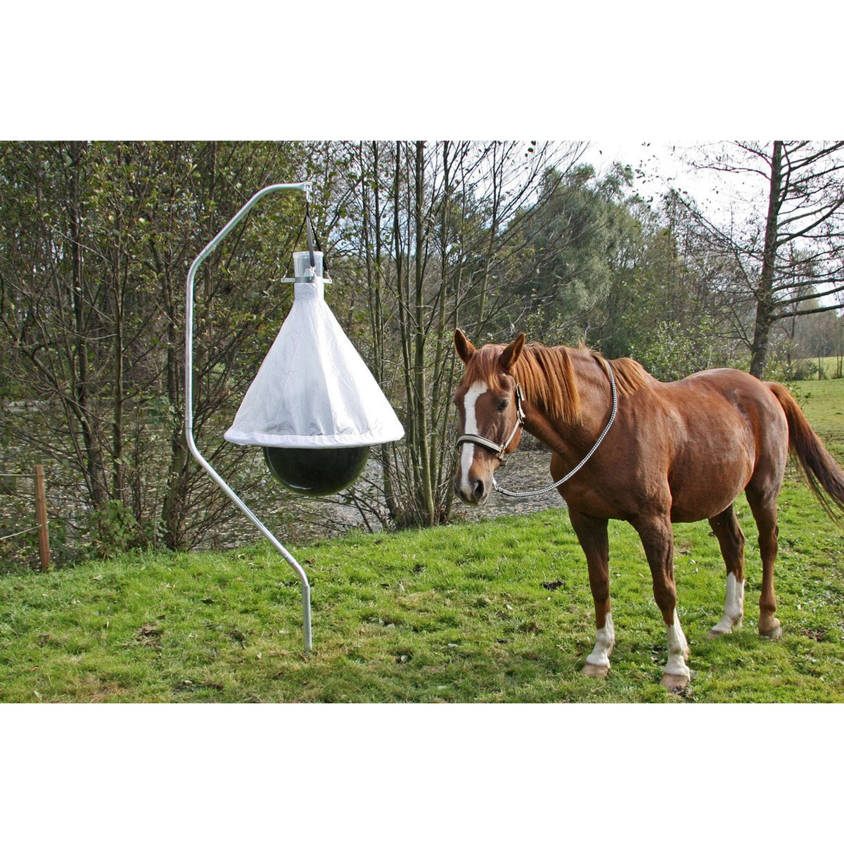 Kerbl Trappola per Tafani TaonX