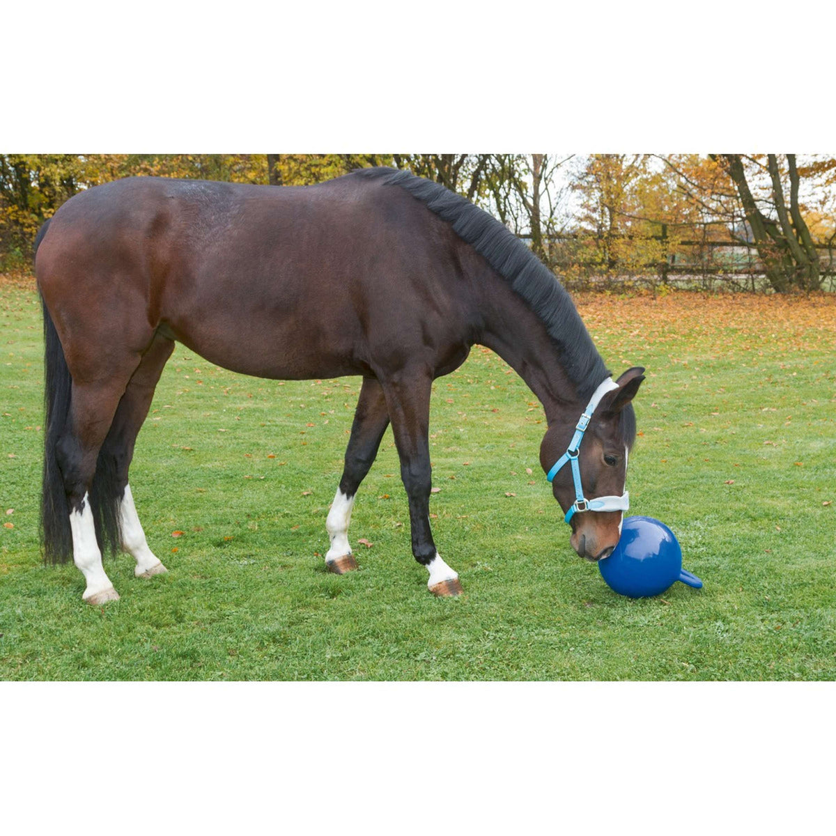Kerbl Pallone da Gioco Blu