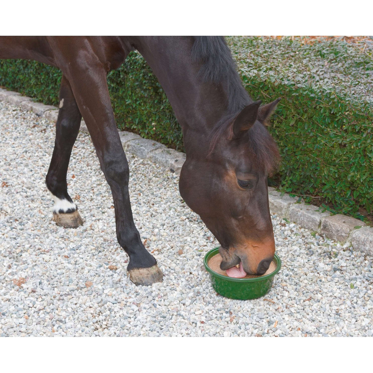 Kerbl Blocco Minerale Delizia