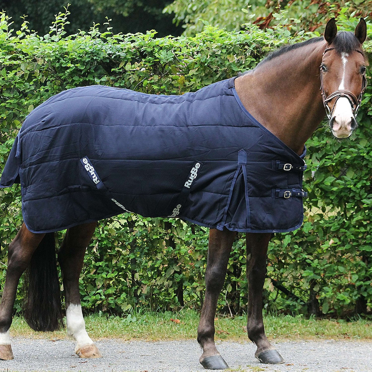 RugBe by Covalliero Coperta da scuderia RugBe Indoor Blu