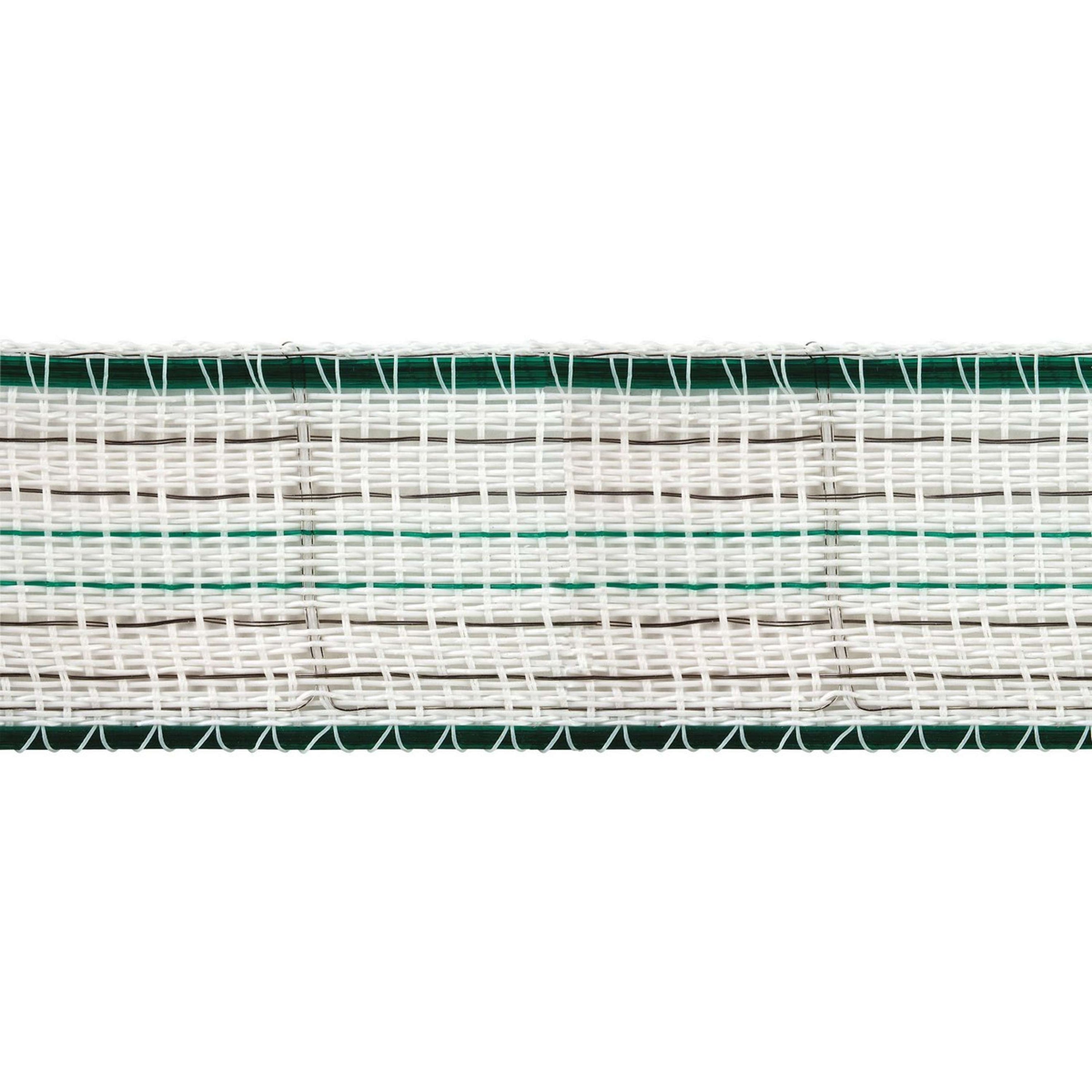 Ako Nastro per Recinzione Premiumline Bianco/Verde