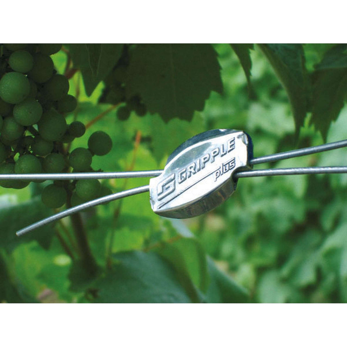 Ako Connettore per filo Gripple 20st