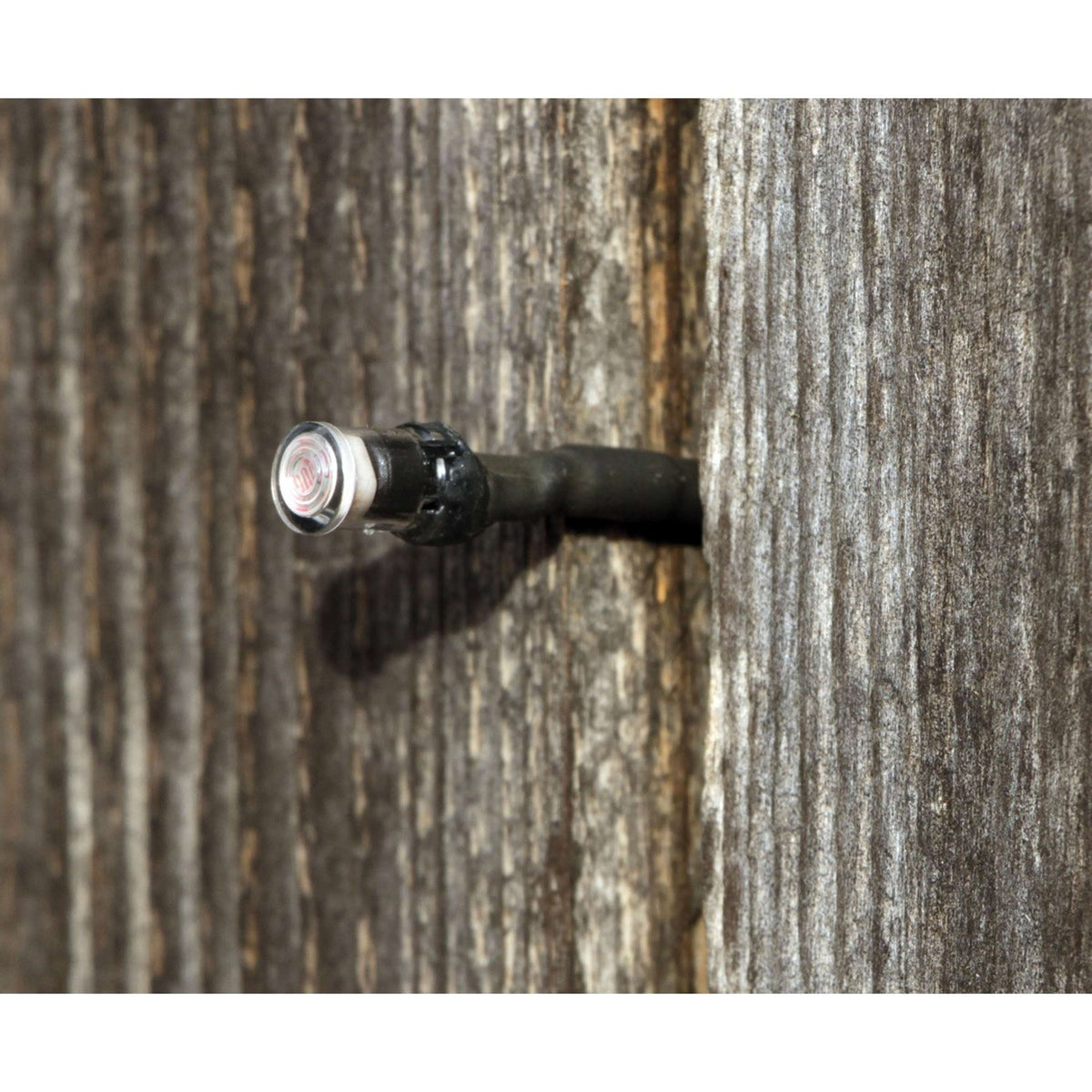 Kerbl Centralina per porta automatica per polli Grigio/Verde