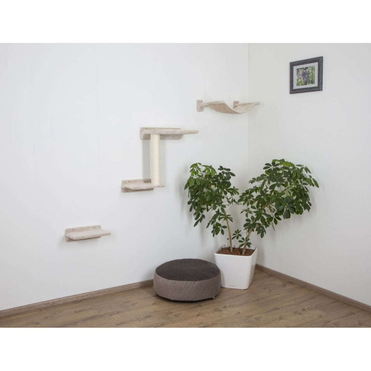 Kerbl Parete da arrampicata Zugspitze Beige