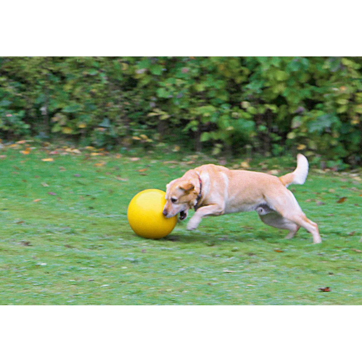 Kerbl Giocattolo per Cani Giallo