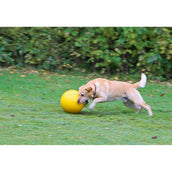 Kerbl Giocattolo per Cani Giallo