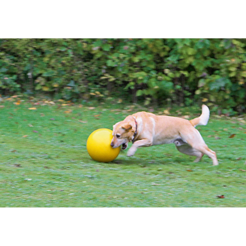 Kerbl Giocattolo per Cani Giallo