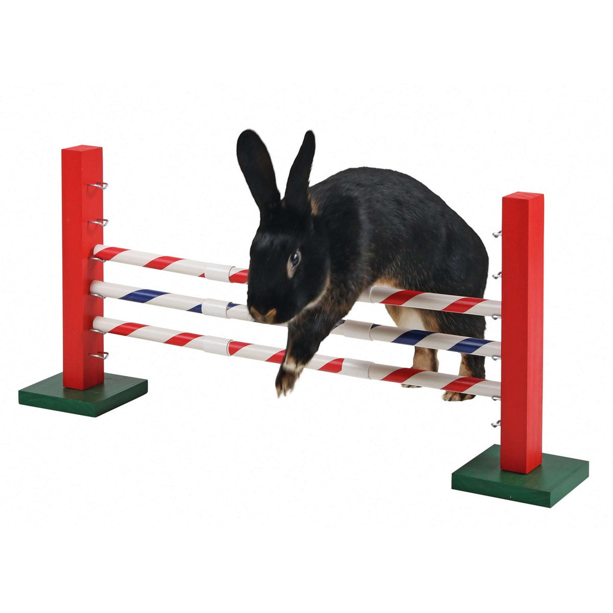 Kerbl Salto in Alto Agility