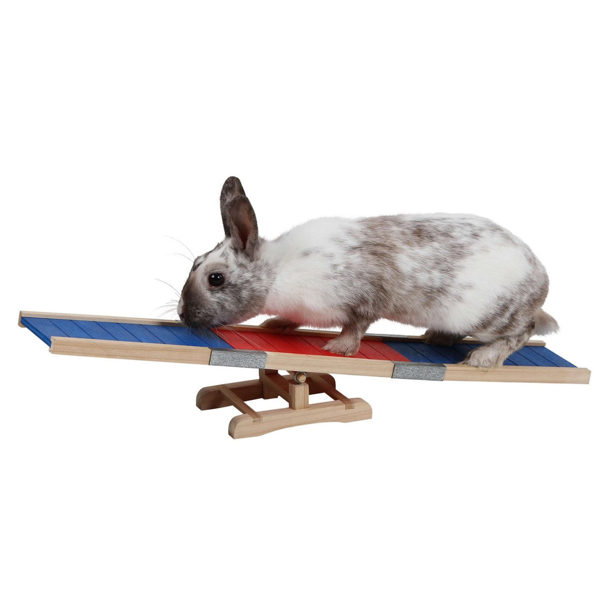 Kerbl Passerella Agility