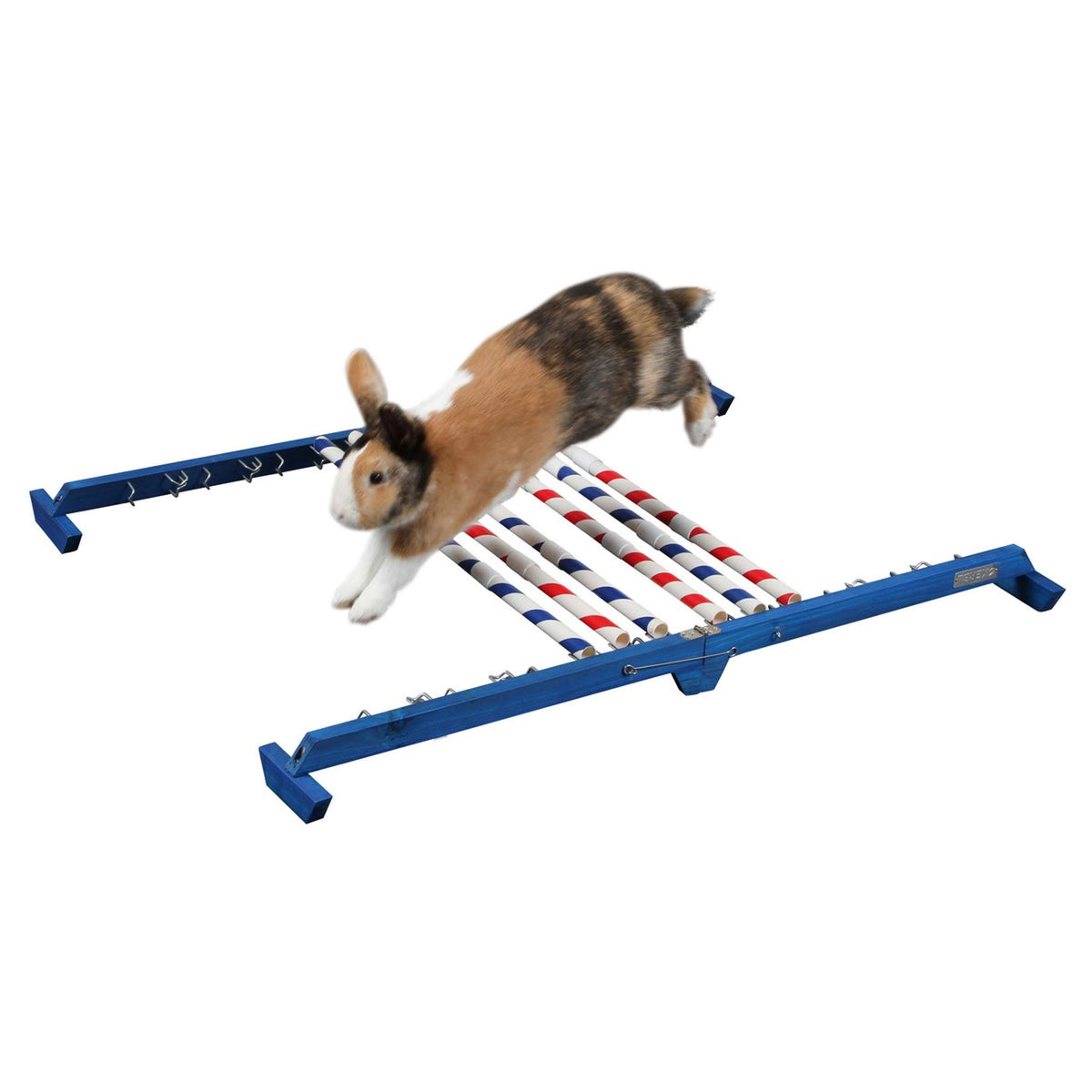Kerbl Coniglio Hurdle Agility 2