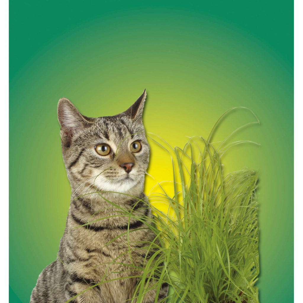 Kerbl Erba Gatta Verde