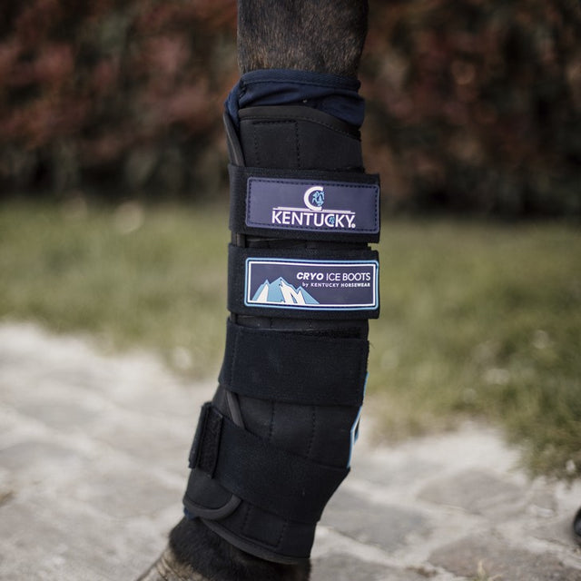 Kentucky Horsewear Stivali da ghiaccio Cryo Nero