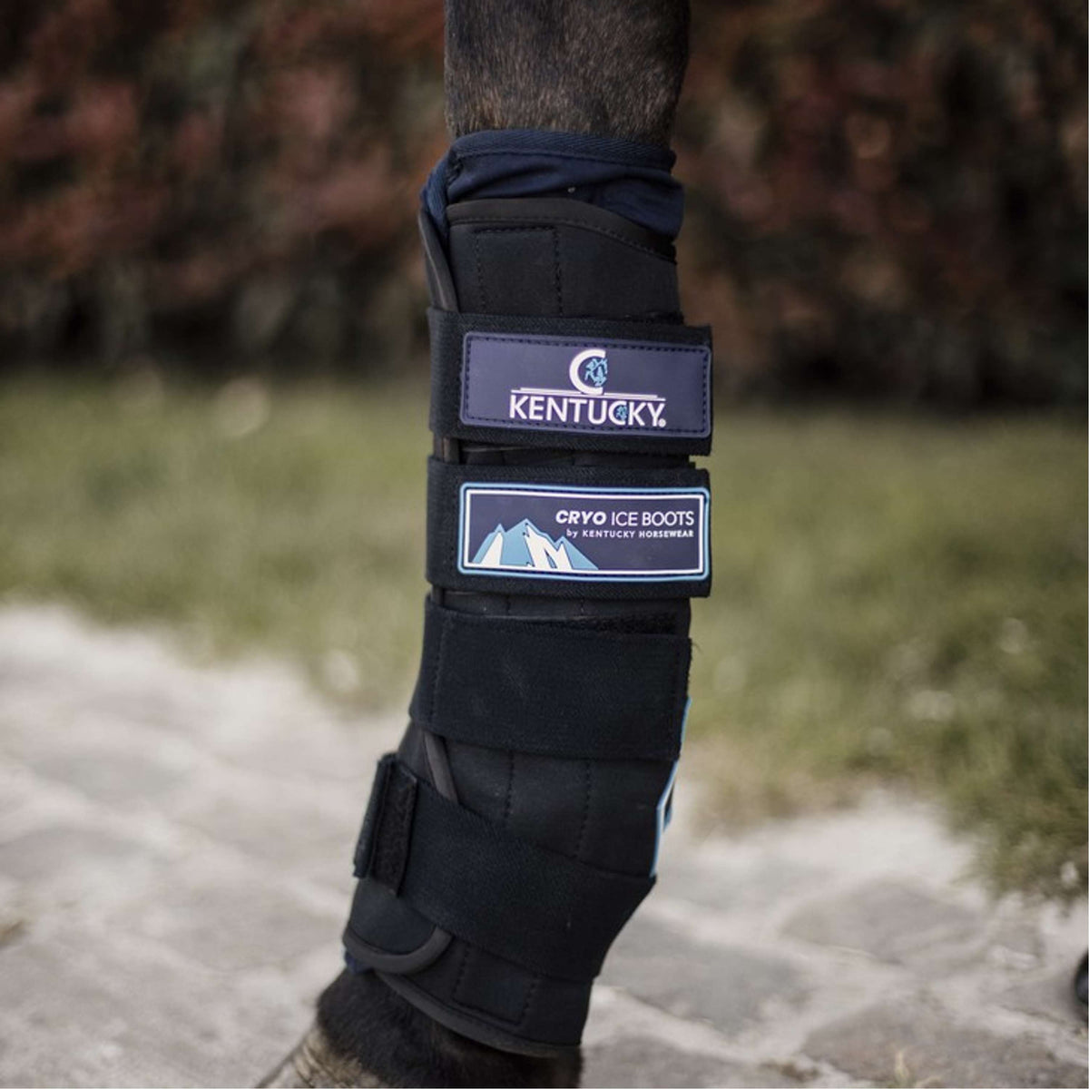 Kentucky Horsewear Stivali da ghiaccio Cryo Nero