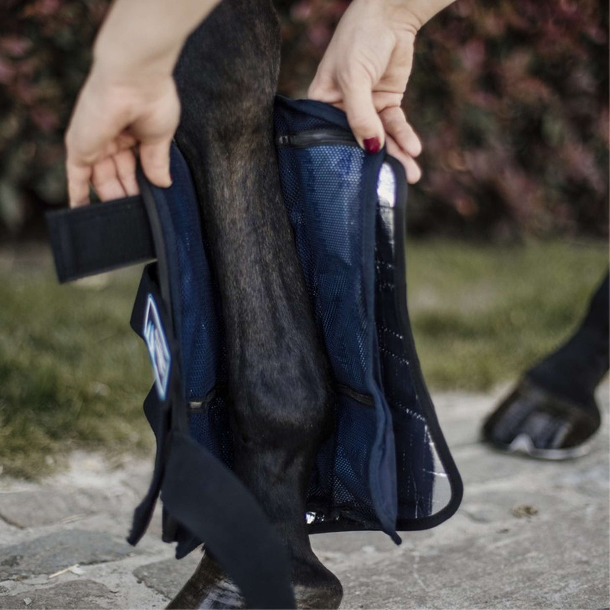 Kentucky Horsewear Stivali da ghiaccio Cryo Nero