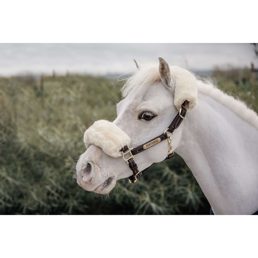 Kentucky Horsewear Cavezza in Cuoio Pelle di pecora in pelle Marrone/Naturale