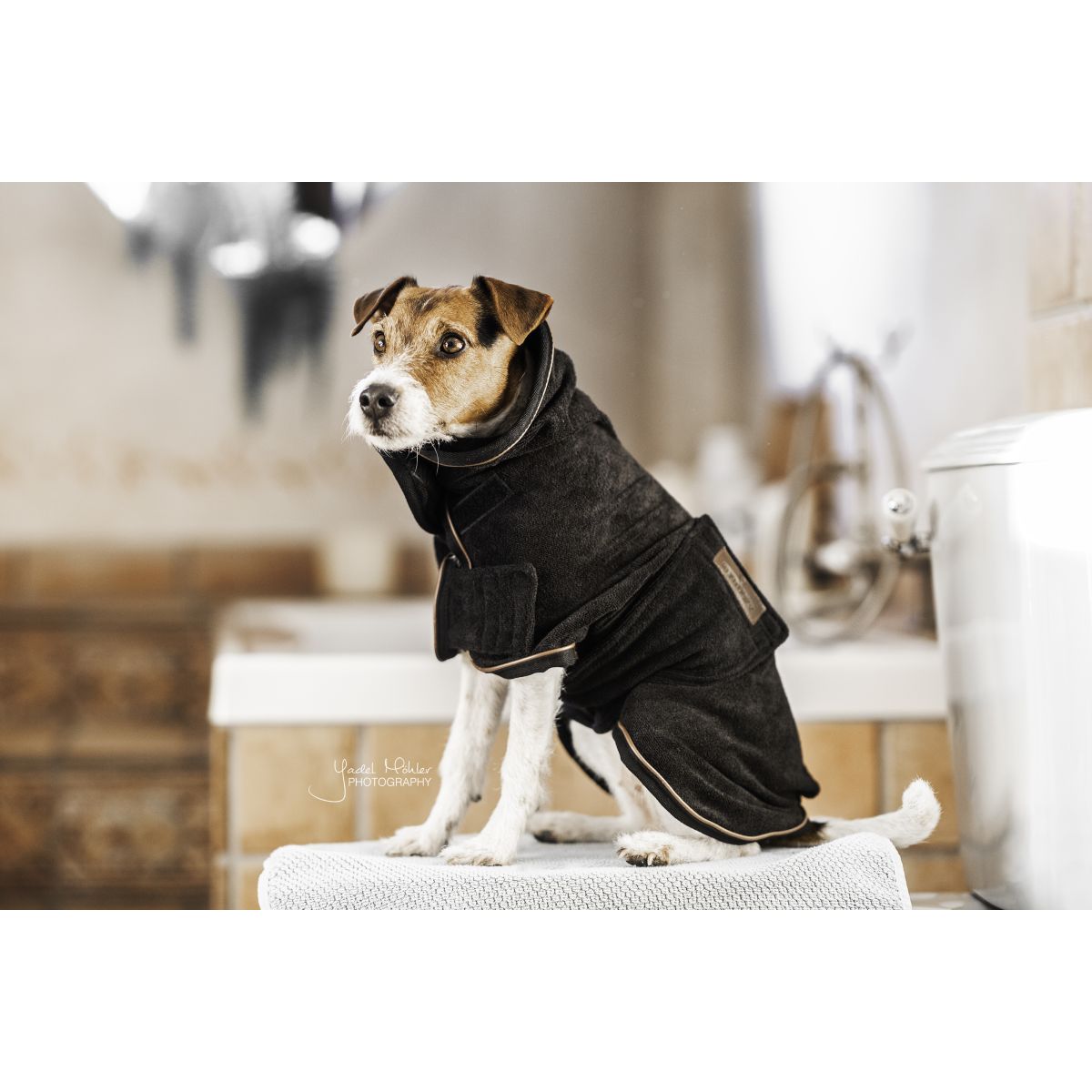 Kentucky Dogwear Cappotto per cani Nero