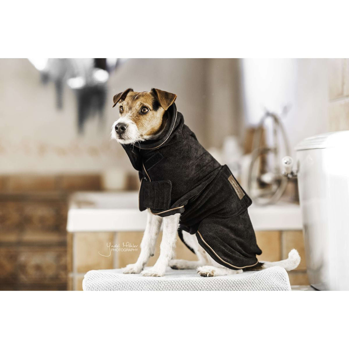 Kentucky Dogwear Cappotto per cani Nero
