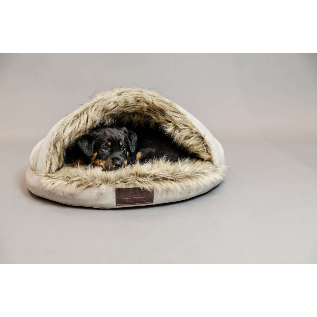 Kentucky Dogwear Igloo per lettino per cani Beige