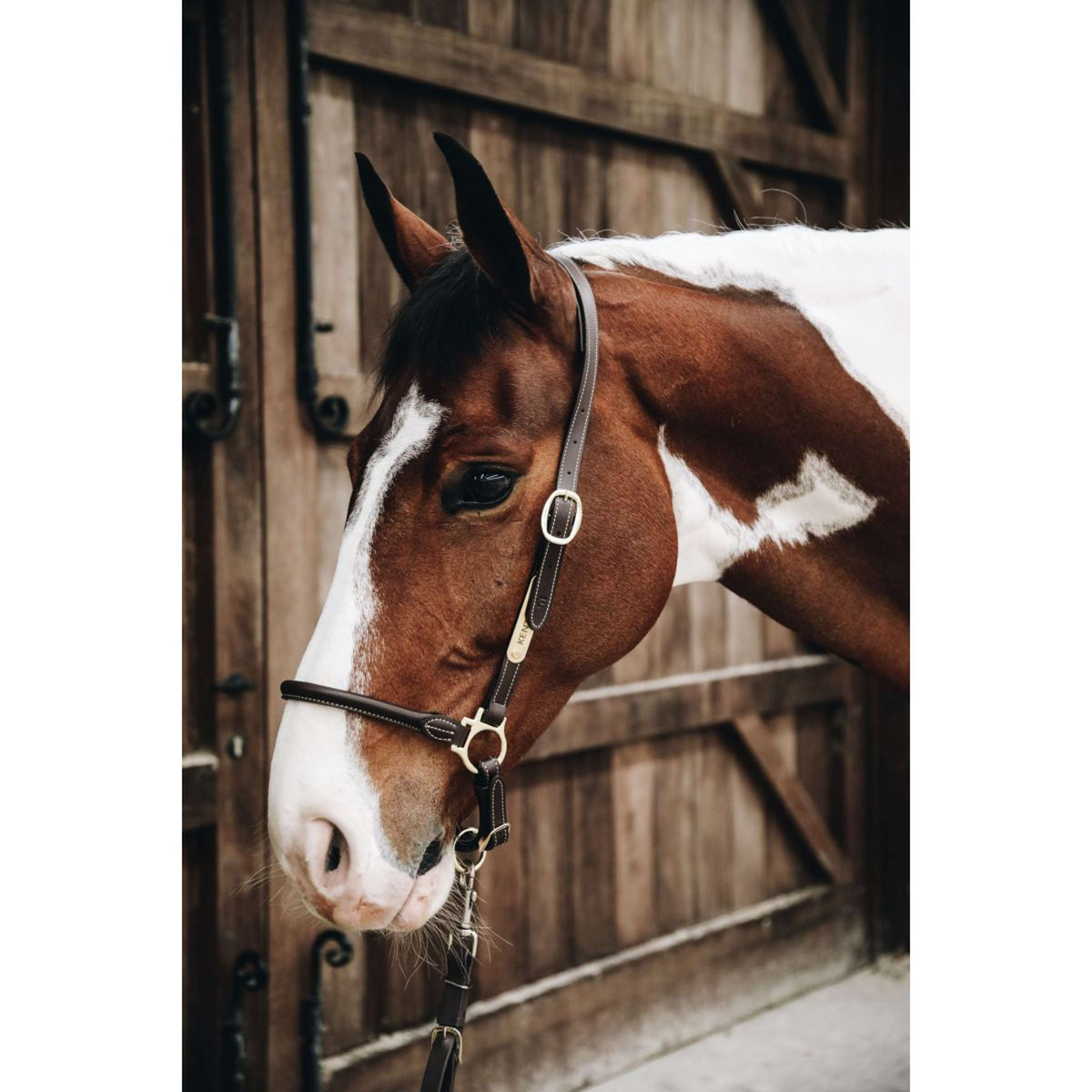 Kentucky Horsewear Capezzina