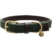 Kentucky Horsewear Halsband Nylon intrecciato per cani Verde Oliva