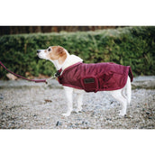 Kentucky Dogwear Dog Rug Bordeaux