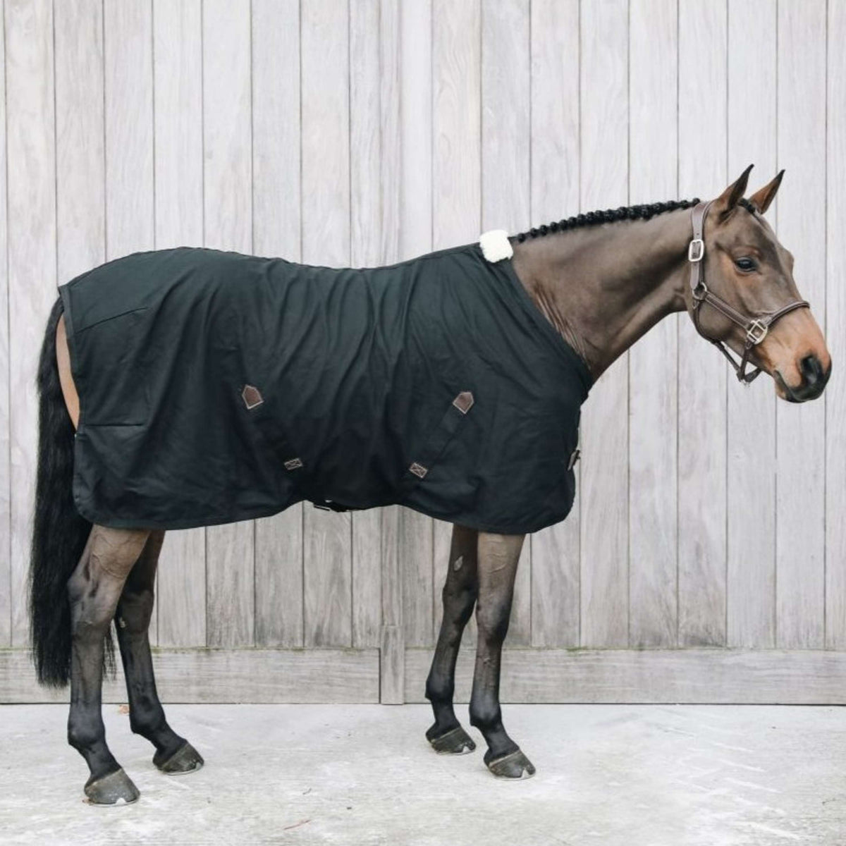 Kentucky Horsewear Coperta di cotone Nero