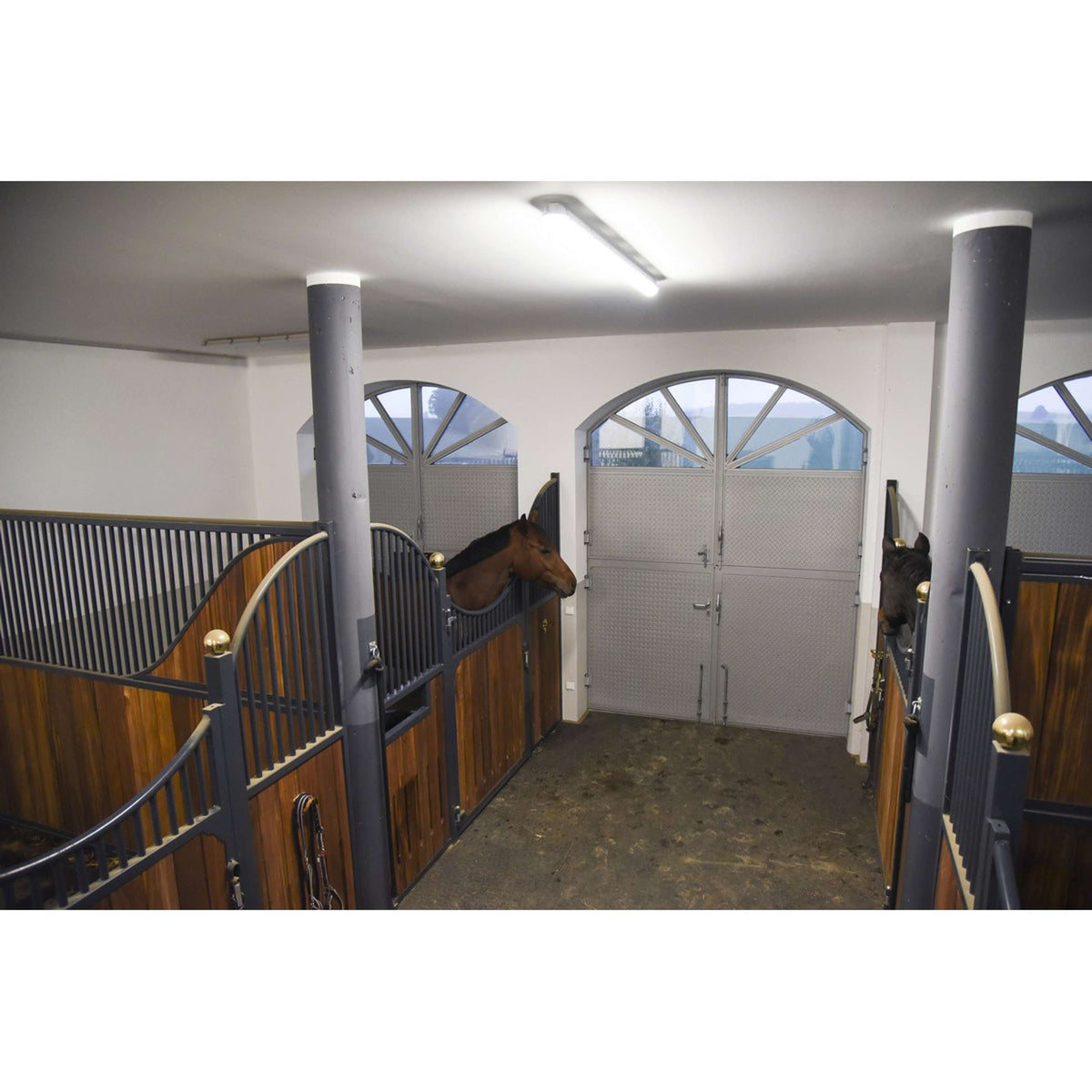 Kerbl Telecamera Internet Nero