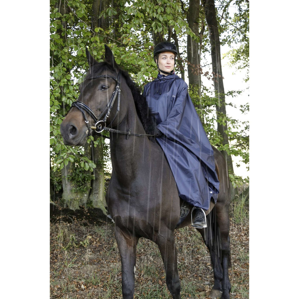 Covalliero Blu