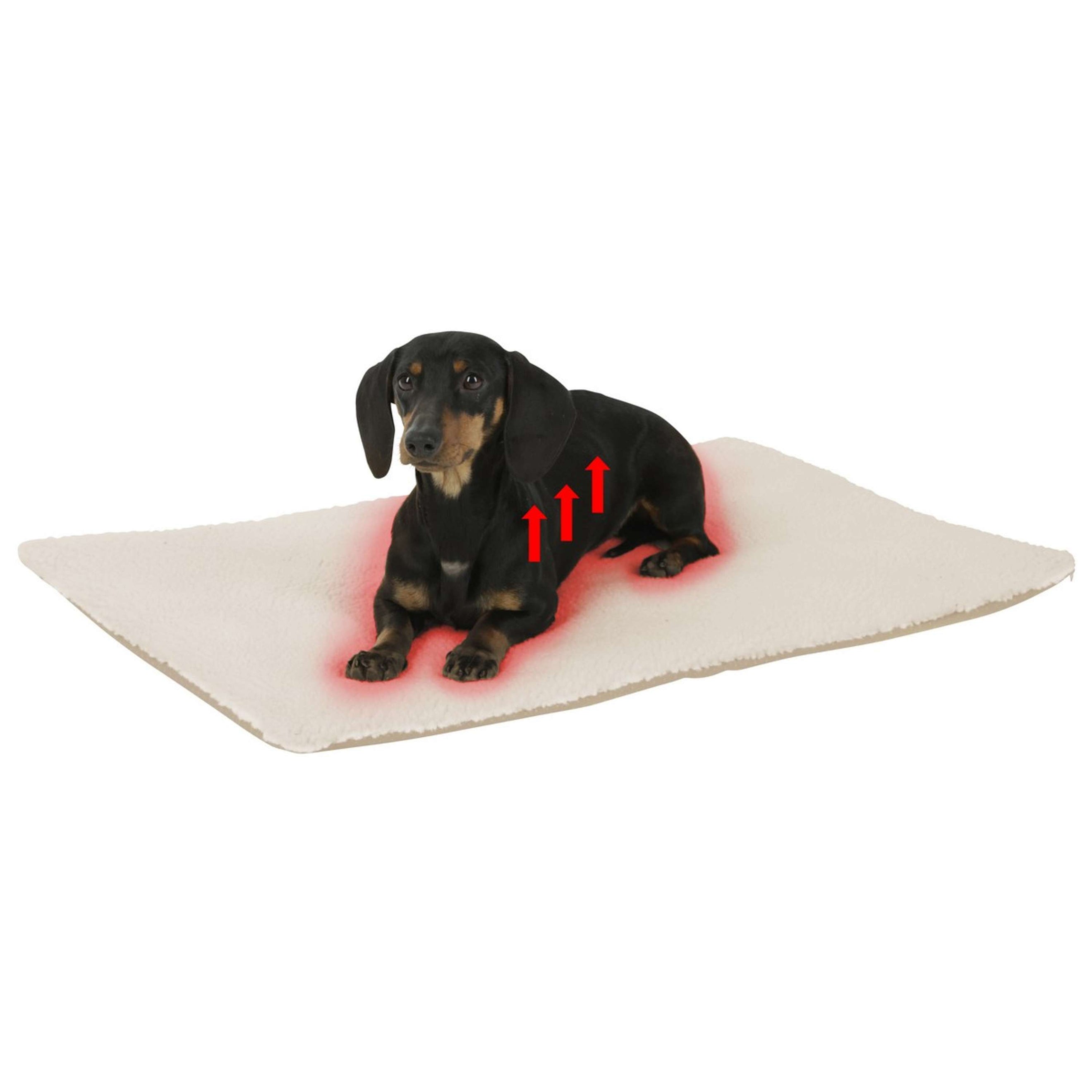 Kerbl Cuscino per Cane Beige Kerbl Cuscino per Cane Beige