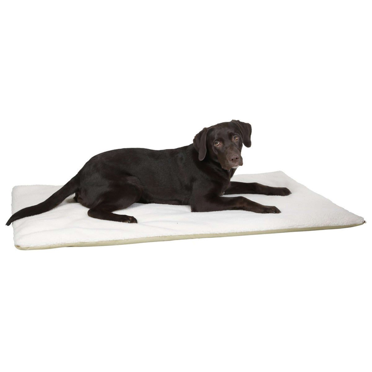 Kerbl Cuscino per Cane Beige