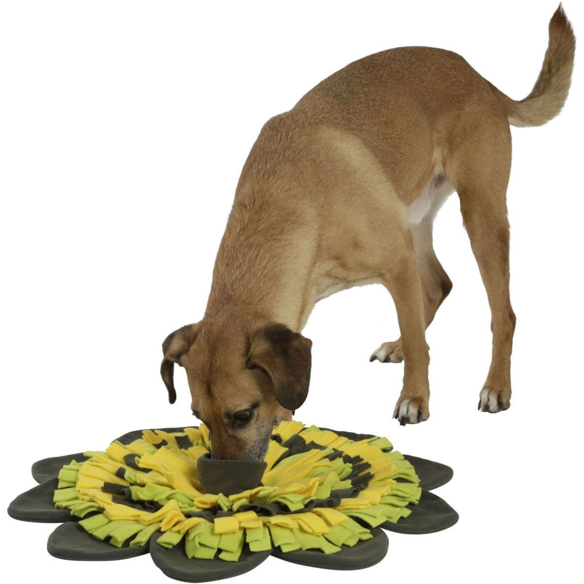 Kerbl Tappeto Olfattivo Giallo/Verde