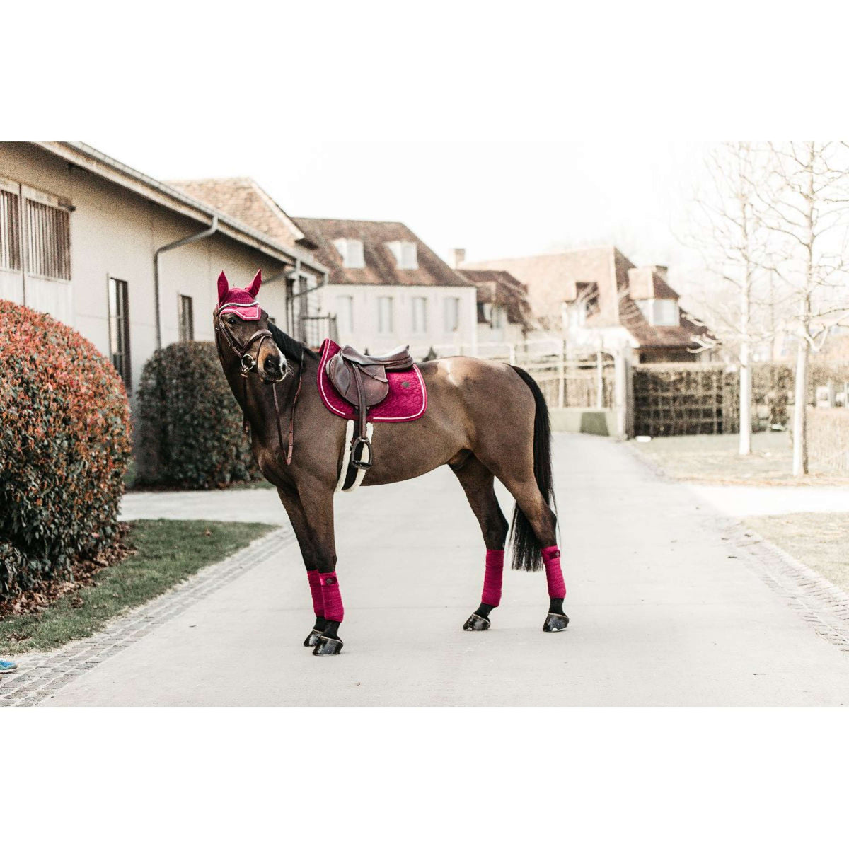 Kentucky Horsewear Sottosella Velvet Springen Fuchsia
