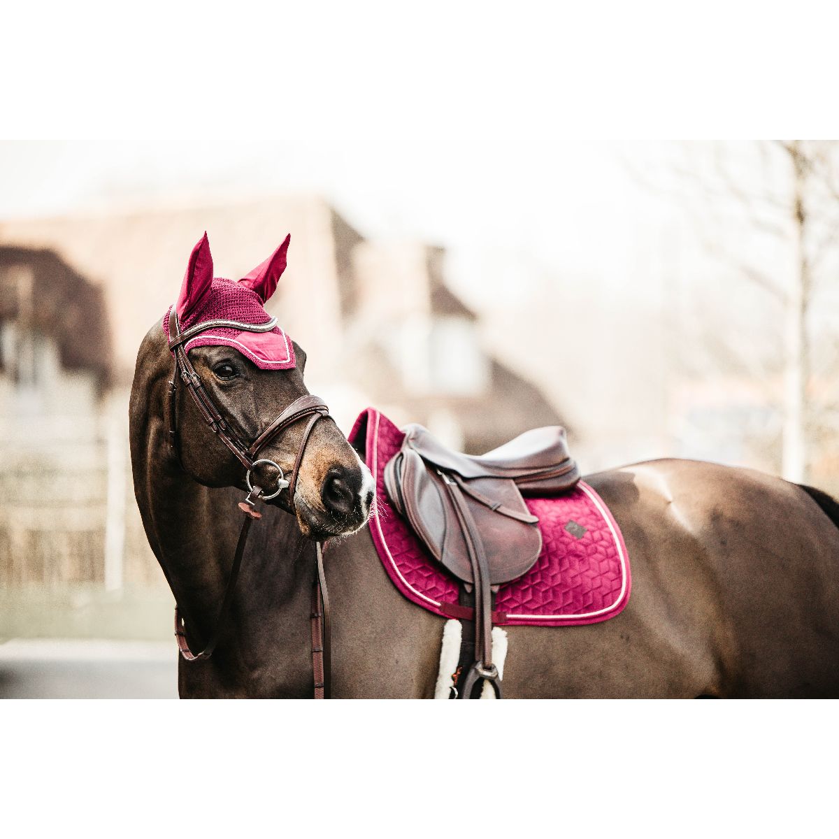Kentucky Horsewear Sottosella Velvet Springen Fuchsia