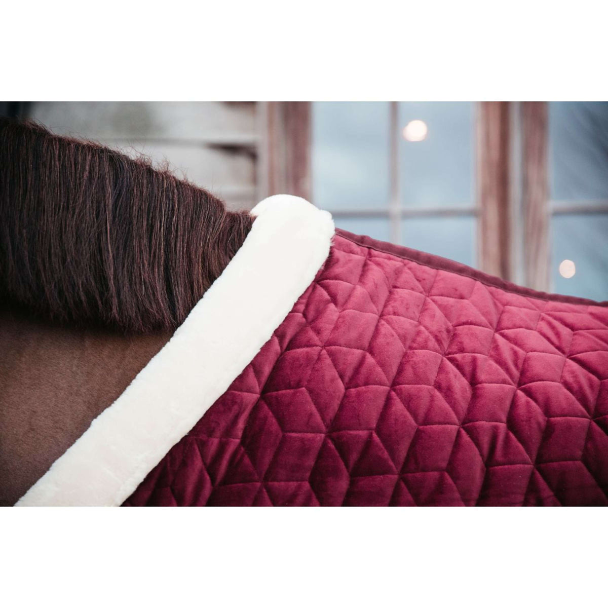 Kentucky Horsewear Coperta da esposizione Velvet Bordeaux