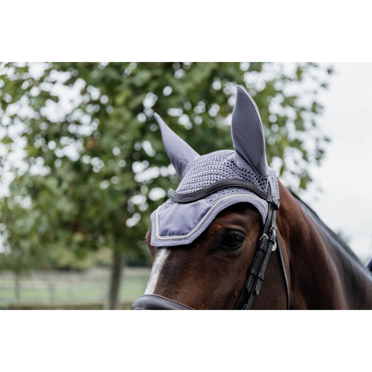Kentucky Horsewear Cuffietta Wellington Velvet Viola