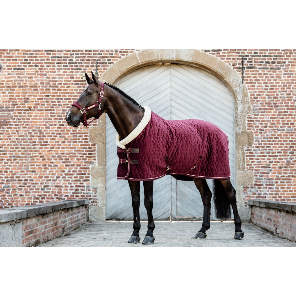 Kentucky Horsewear Coperta da esposizione Velvet Bordeaux