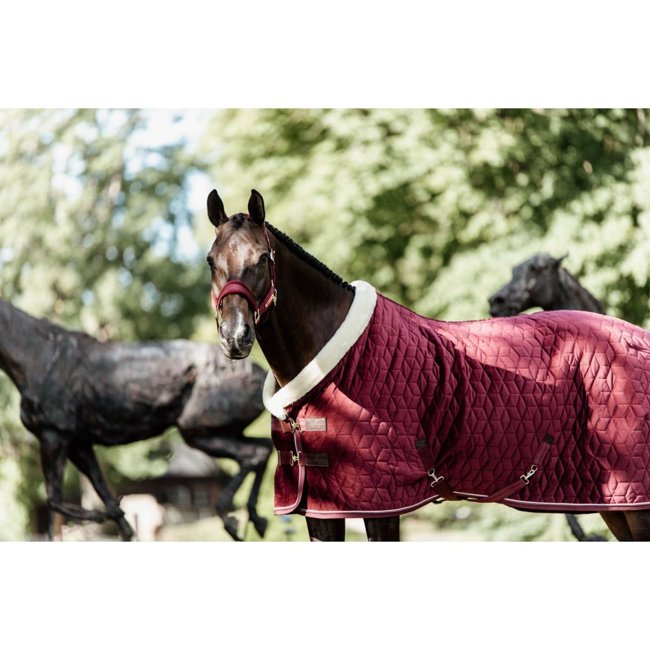 Kentucky Horsewear Coperta da esposizione Velvet Bordeaux Kentucky Horsewear Coperta da esposizione Velvet Bordeaux