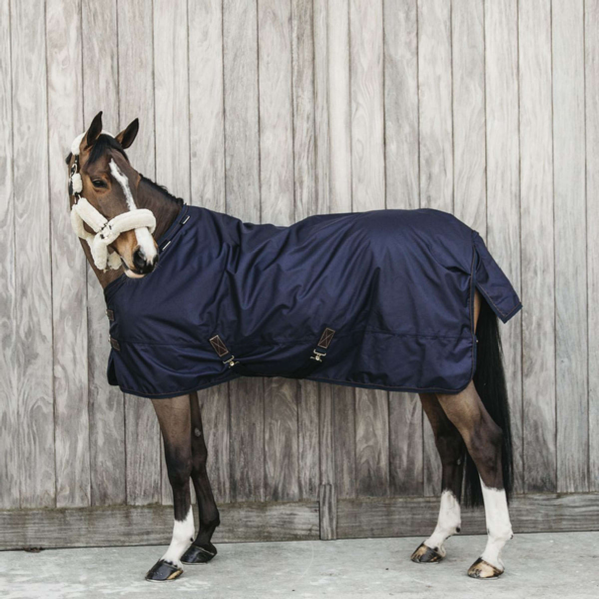 Kentucky Horsewear Ritorno dell'affluenza alle urne All Weather Waterproof Pro 0g Navy