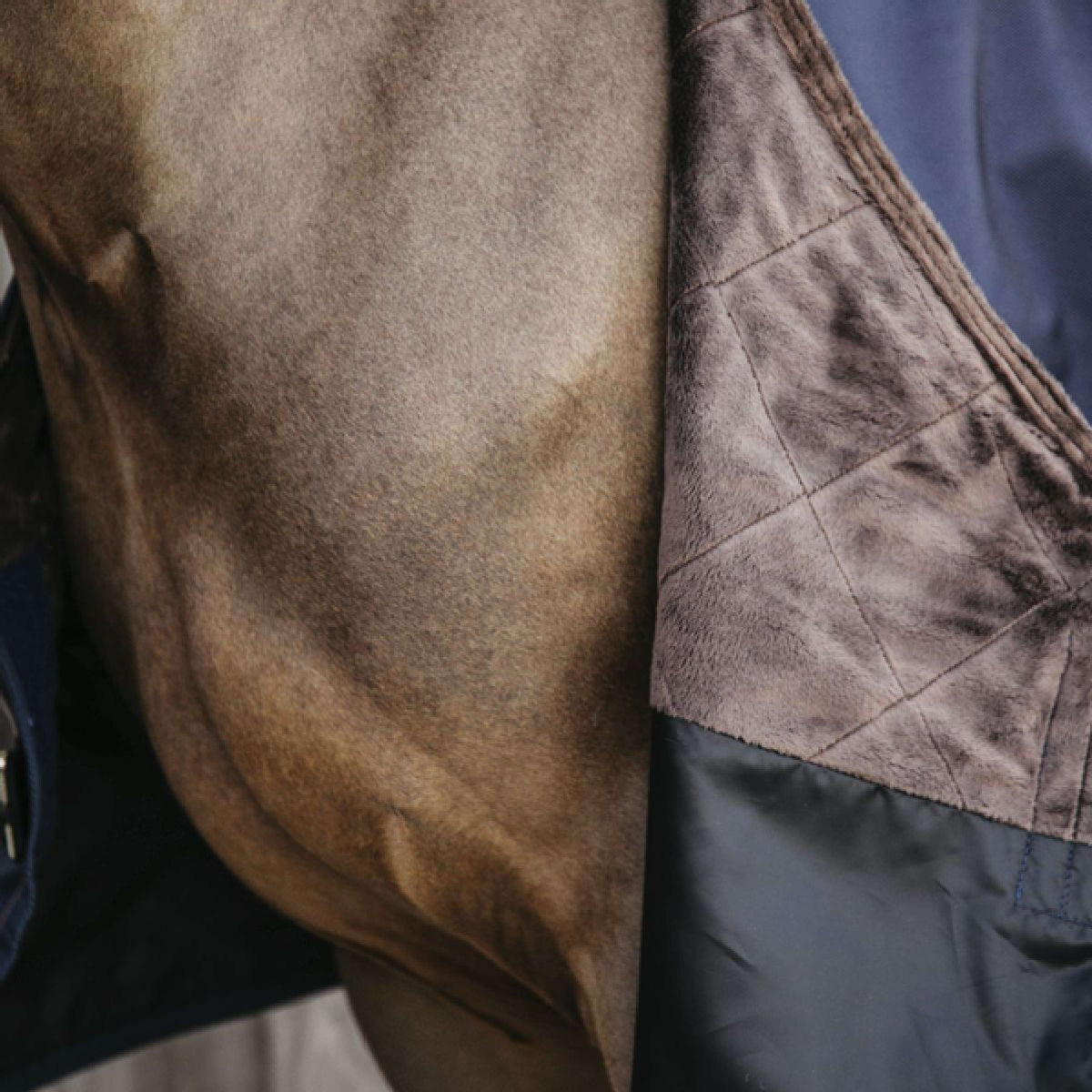 Kentucky Horsewear Turnout All Weather 160g Navy
