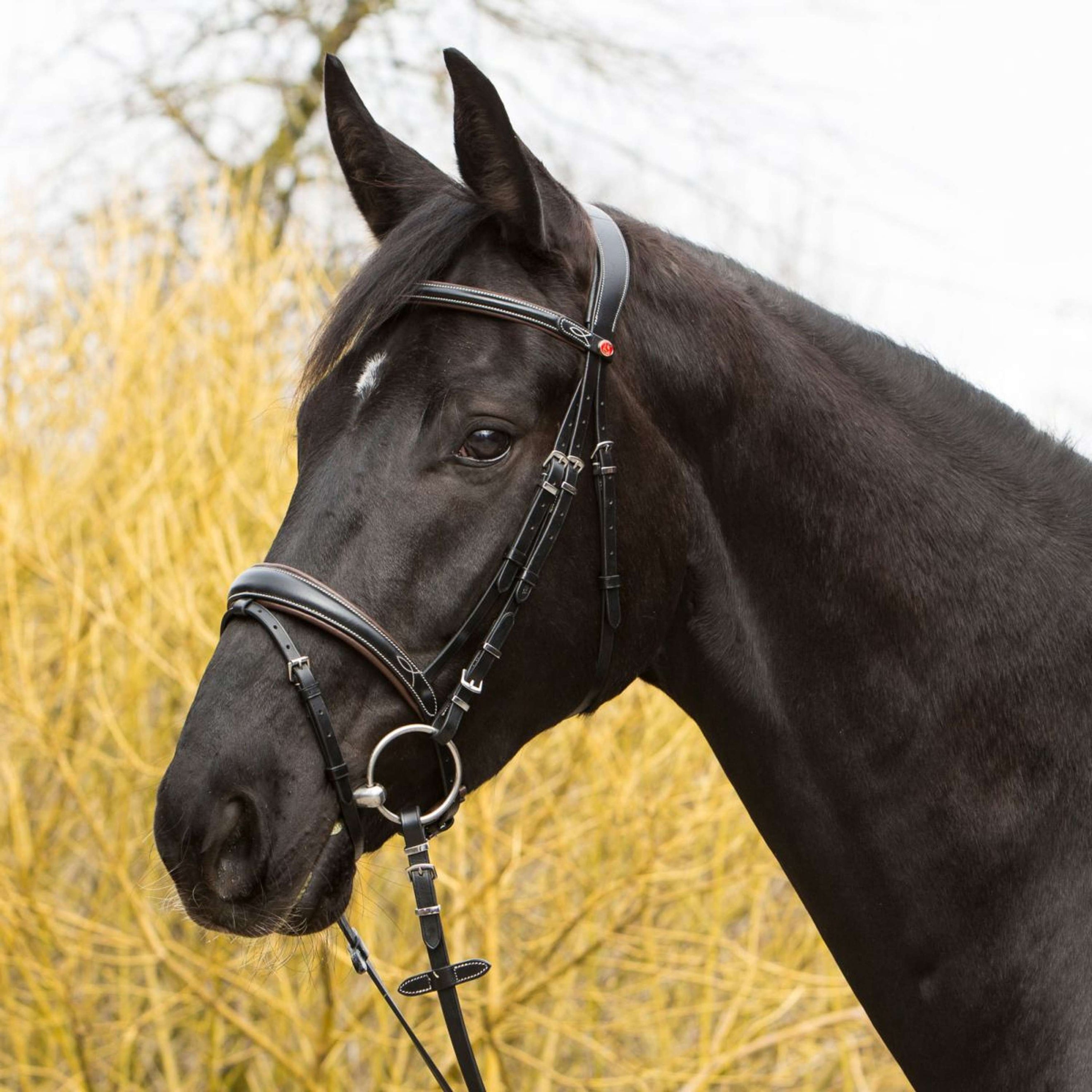 Kieffer Briglia Vera Nero/Marrone